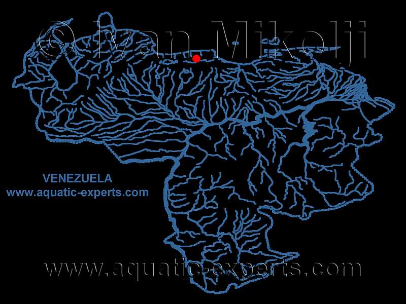 mapa rio guaire caracas venezuela